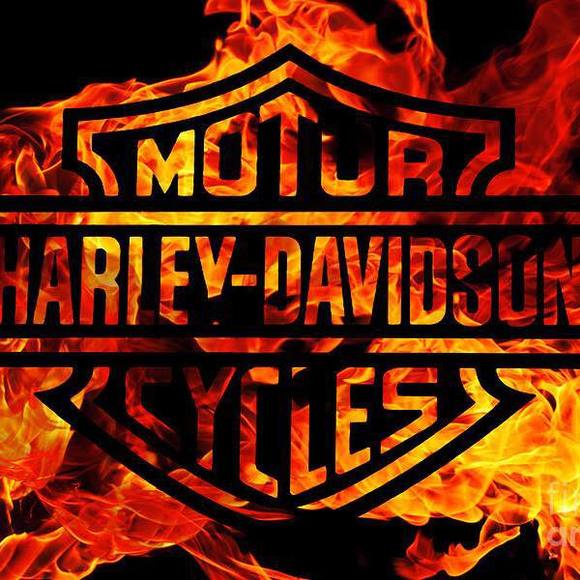 Meet your Posher, Tony - Picture 1 of 1